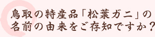 鳥取の特産品「松葉ガニ」の名前の由来をご存知ですか？