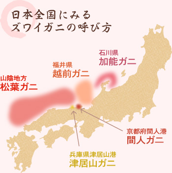 ズワイガニの呼び方。山陰地方：松葉ガニ、福井県：越前ガニ、石川県：加能ガニ、京都府：間人ガニ、兵庫県：津居山ガニ