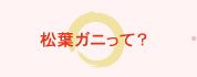 松葉ガニって？